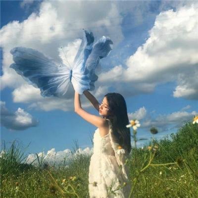 寒鸦情深